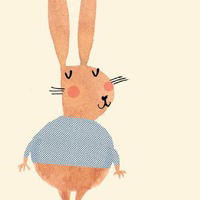 朱星杰被黑五五身需要植发,周彦辰被嘲年纪轻