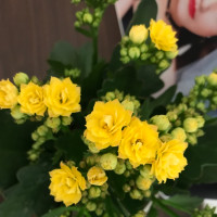 当兵两年后退伍,之后能做什么工作?没想到还有