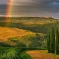 舞蹈《失恋阵线联盟》完整镜面版,分解动作教学