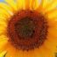 小哥哥撩妹的新套路,用歌声打动了小姐姐