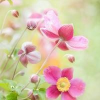 斗战胜佛吕洞宾二郎神大战通天教主,原来通天