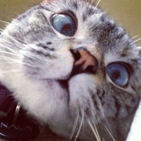 沈腾买电影票狂砍价!把售票员都砍哭了!