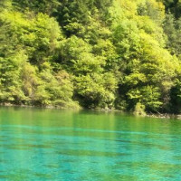 美女穿高跟鞋摔倒,霸道总裁过来英雄救美
