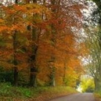 观海策:是谁让你自作主张把燕姑娘送走的?你让