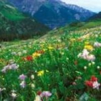 归来去:萧清不愿意出庭当证人,与父亲起争执