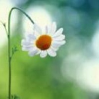 大摆胯慢动作分解教程,学起来一点都不难,我这