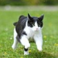 方清平、邵峰搞笑实力大比拼,看谁的段子最逗