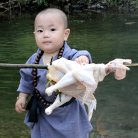 刘火火:一条修炼千年的鱼精,被一岁半小孩忽悠