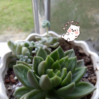 还珠格格:老佛爷这次真生了老大的气了,就惩罚