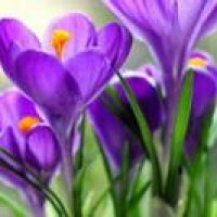 何洁新颖教育方法 避免宝宝触电问题_谢谢啦!