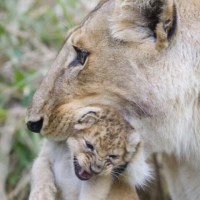 于谦即兴演唱《学猫叫》一开口全场沸腾了!郭