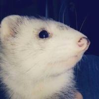 精品相声《杂学唱》陶云圣和于鹤真精彩演出