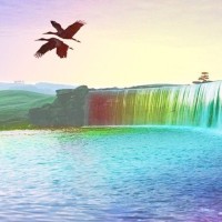 梦想照进现实 刘宪华梦中见女神Angelababy