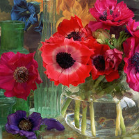 大胃王mini直播吃猪蹄花,满满的都是胶原蛋白