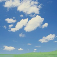 男子打110举报赌博,警察说太远明天处理,男子