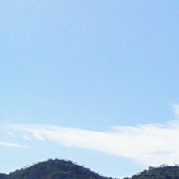 现代舞_ 美女舞蹈教学视频, 满屏幕的大长腿!