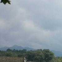 如何免费快速查询驾照扣分情况,了解一下