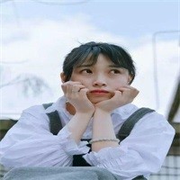 王者荣耀:单机版王者荣耀手游,没网也能玩王者