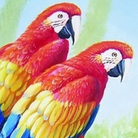 感觉自己萌萌哒终于让我找到那么魔性的歌让我