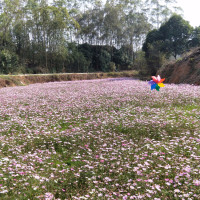 男生们都学学,这才是女生想听的情话!