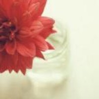 茶啊二中 刘若琳的以身试险骗过强哥