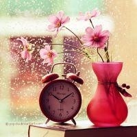 就这样爱你爱你爱你摩登兄弟