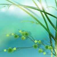 简洁清爽的儿童斜编麻花辫编发教程,好看又不