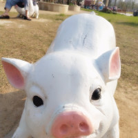 灵魂摆渡:织女诅咒起作用,男子澡池看见女鬼!