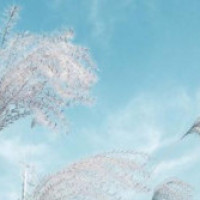 快手网红刘大美徒弟反水、爆聊天记录!微风搞