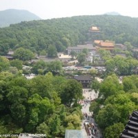 剑仙李白被某平台主播骂跟狗一样,这种主播是