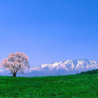 德哥荒野求生捡到的奇葩装备,成功用中国盒子