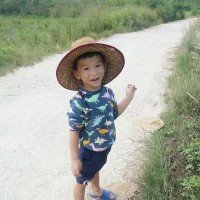 乐高定格动画:赛车拉力比赛