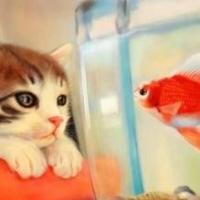 经典爆笑 ABCDEFG神造句全部用上一个也没