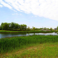 无透明胶水无苏打,制作奶油起泡胶,手感柔软玩