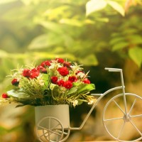 灰姑娘重逢旧情人,惊吓过度不慎把脚崴到,好尴