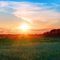 96岁中国肝脏外科之父吴孟超:长时间握手术刀