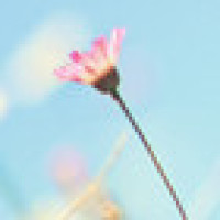 大排档卖唱歌手一首《一晃就老了》唱的真好听