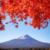肖奈拜见岳父考验多,贝微微心疼大神,与老爸说
