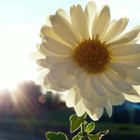 唯一一部没有快进的电视《琅琊榜》,尤其这一