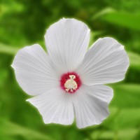 《欧洲攻略》吴亦凡:我想要个妹子!梁朝伟:安排