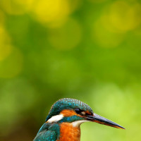 白色大长筒靴去踩东西,真心疼这双高跟鞋