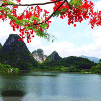 网红小姐姐唱卡布奇诺 ,摩登兄弟唱的好听,还是