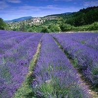 渣女背着男友天天泡夜店,男友和别人上床她不