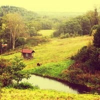 张磊化身足球专家:英超最职业 顶级球员教练不