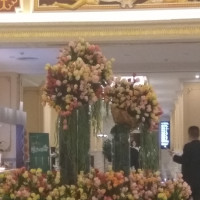 帅哥谎言被揭穿后!强吻美女,却没想到男子出现