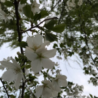 好有爱!水族馆的海豚隔着玻璃亲吻小女孩