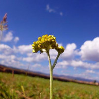 谢娜来快手不到7天粉丝破1000w,第一个作品5