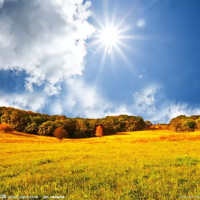 宋茜快乐大本营上大跳生活舞,俏皮可爱,杜海涛