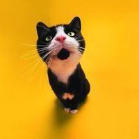 小戏骨刘三姐 刘三姐经典唱段《多谢了》 反派