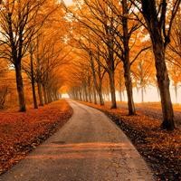 X玖少年团粉丝隔空表白 齐祝快乐大本营20周